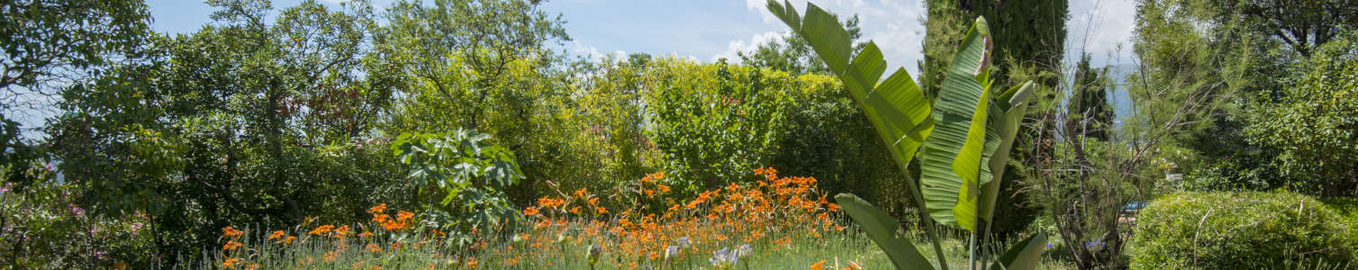 Le jardin du Mas du Chanoine