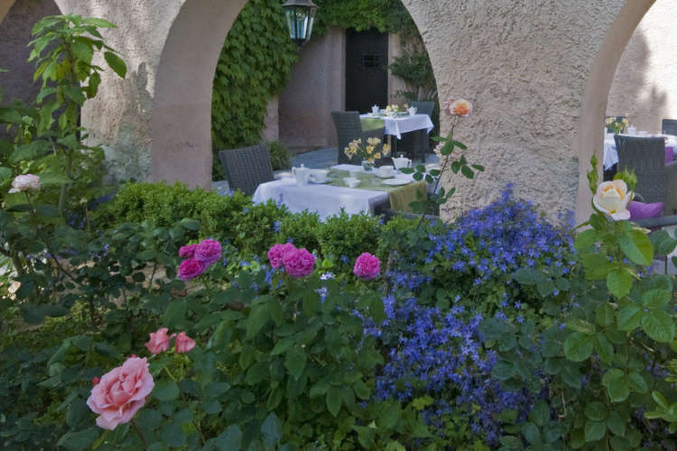 Roses dans le jardin du Mas du Chanoine, héritage de la culture florale