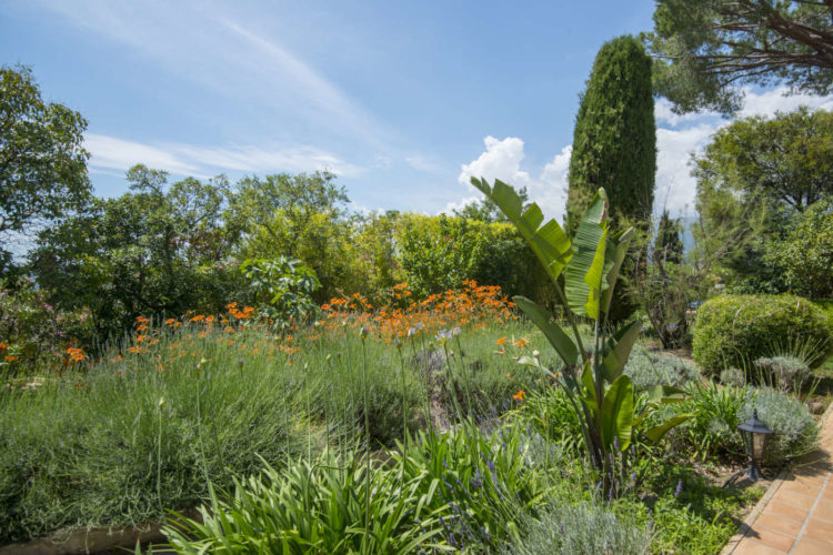 Le jardin méditerranéen fleuri du Mas du Chanoine à Saint-Paul de Vence