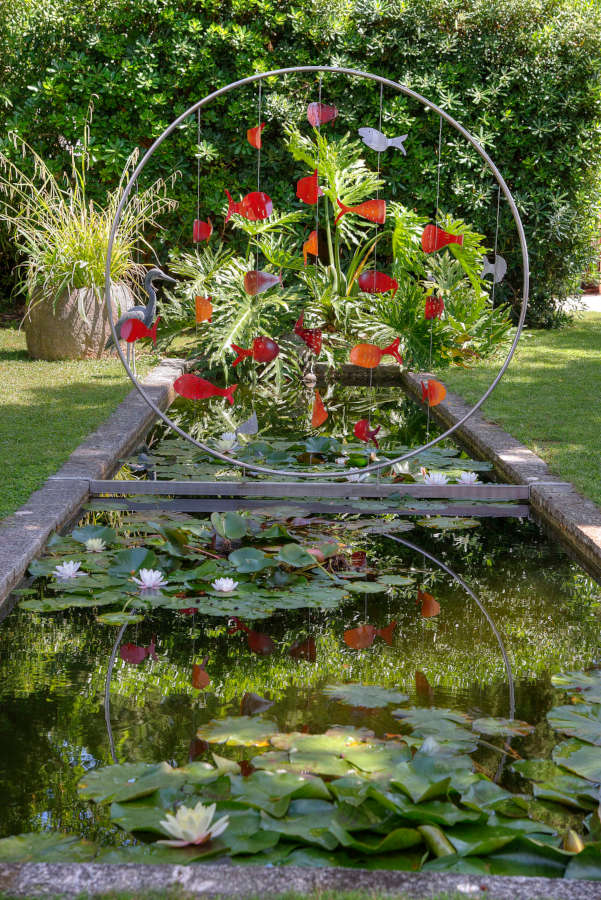 The water lily pond with goldfish