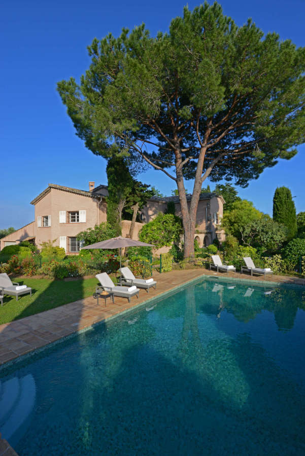 The pool under the parasol pine at Mas du Chanoine